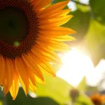 Miłość do siebie: inspirujące cytaty, które zmienią twoje życie
